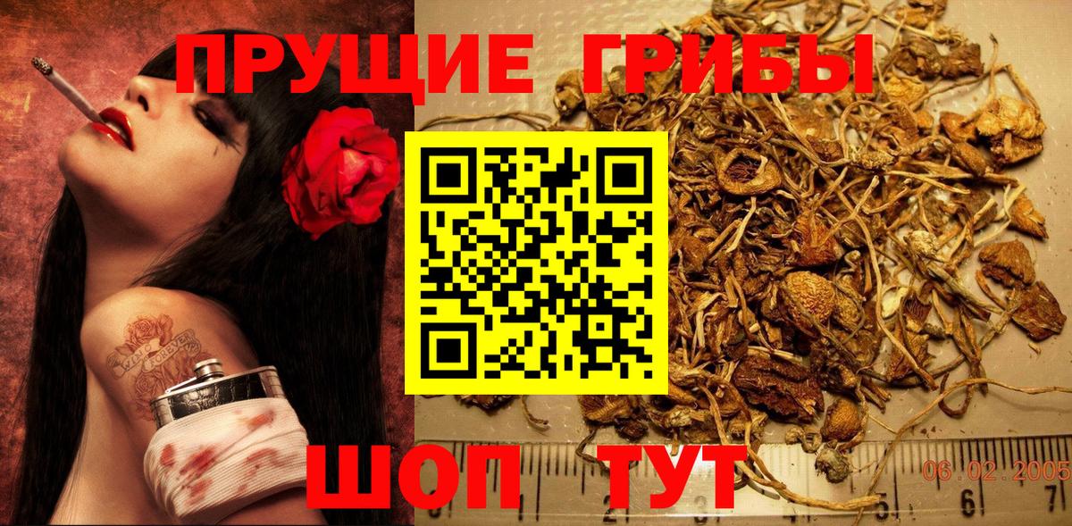 Галлюциногенные грибы Cubensis Коломна